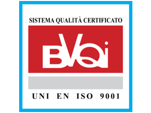 BVQI Logo