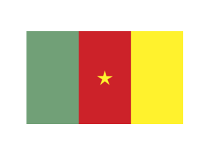 Cameroon Logo