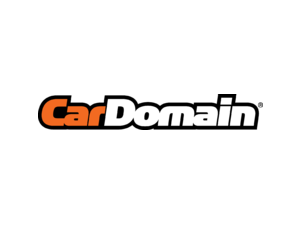 CarDomain Logo