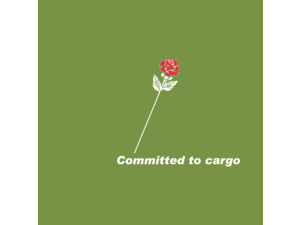 Channel Express Logo