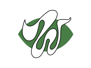 Chicago Winds Logo