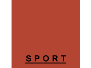 Citroen Sport Logo