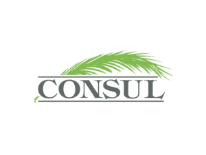 Consul Logo