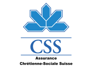 CSS Logo