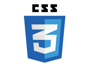 CSS3 Logo