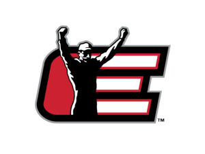Dale Earnhardt Inc Logo