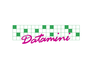 Datamini Logo