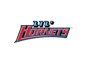 Delaware State Hornets Logo