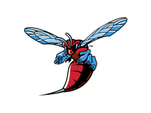 Delaware State Hornets Logo