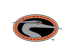Delmarva Shorebirds Logo