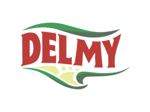 Delmy Logo