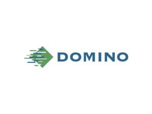 Domino Logo