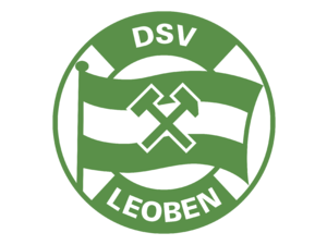 DSV Logo
