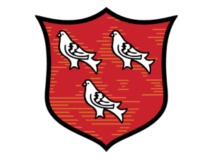Dundalk FC Logo