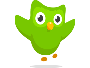 Duolingo symbol icon Logo
