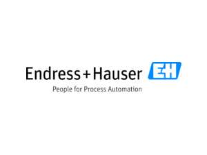 Endress+Hauser Logo
