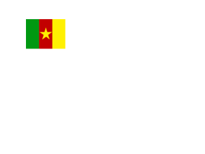 Flag of Cameroon Logo