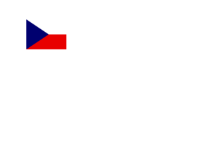 Flag of Czech Republic Logo