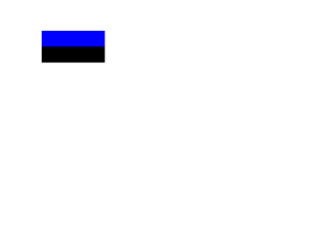 Flag of Estonia Logo