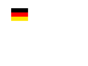 Flag of Germany Logo