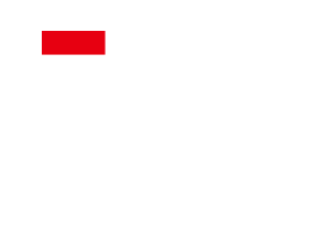 Flag of Indonesia Logo
