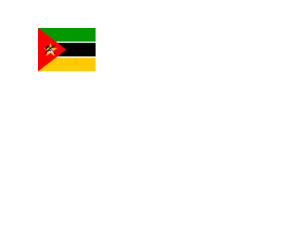 Flag of Mozambique Logo