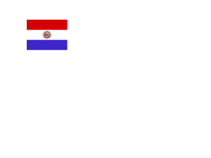 Flag of Paraguay Logo