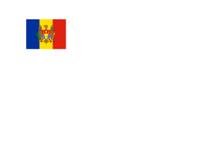 Flag of Republic of Moldova Logo