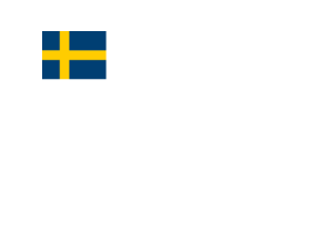 Flag of Sweden Logo