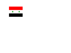 Flag of Syria Logo
