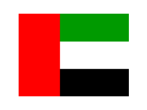 Flag of United Arab Emirates Logo