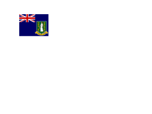 Flag of US Virgin Islands Logo