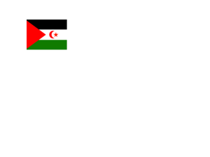 Flag of Western Sahara Logo