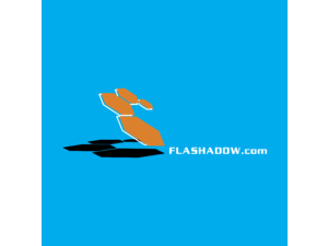 Flash Shadow Logo