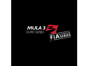 Formula 3 Euro Series Logo