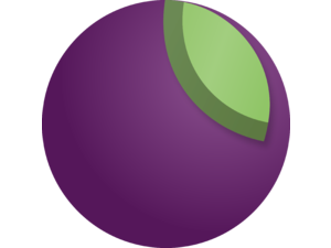 Grape Logo