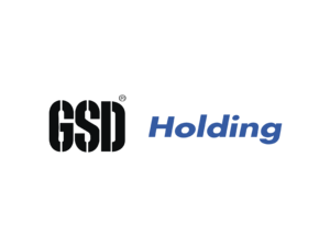 GSD Holding Logo