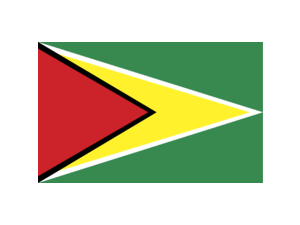 Guyana Logo