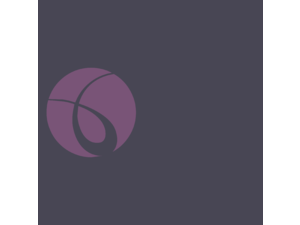 Infinite Technology Group Logo