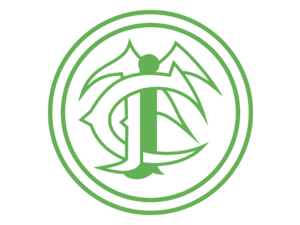 Ipiranga Football Club de Manhuacu MG Logo