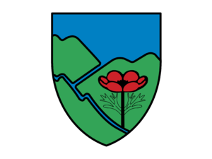 Israel Army Unit Logo