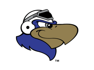 Lancaster JetHawks Logo
