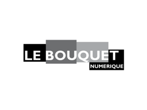 Le Bouquet Numerique Logo