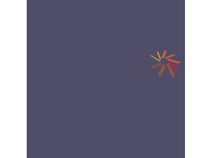 Macromedia Flash Player Logo