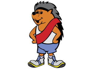 Malye Igry Dobroj Voli Logo