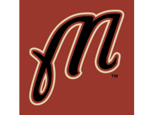 Martinsville Astros Logo