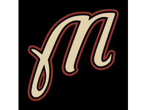 Martinsville Astros Logo