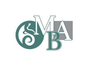 MBA HSE Logo