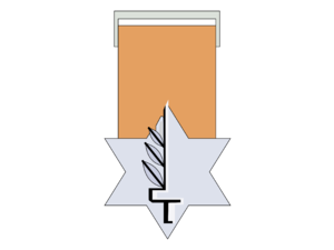 Medal of Valour Logo