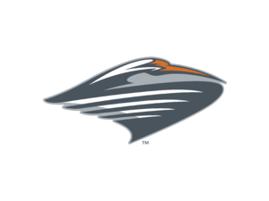 Miami Hurricanes Logo
